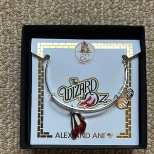 Alex and Ani Silver Bracelet with Red Charm